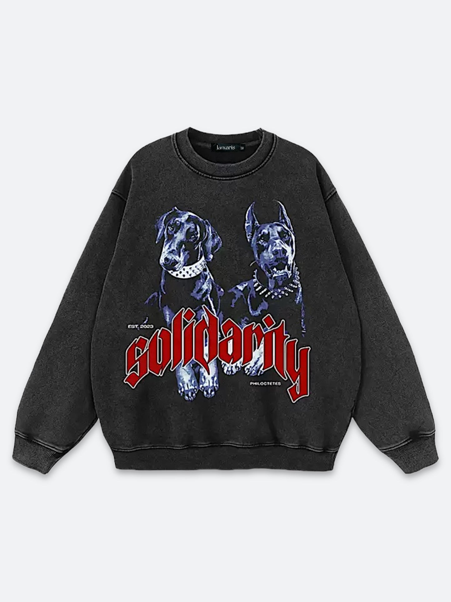 DOBERMANN & PINSCHER DUO VINTAGE CREWNECK