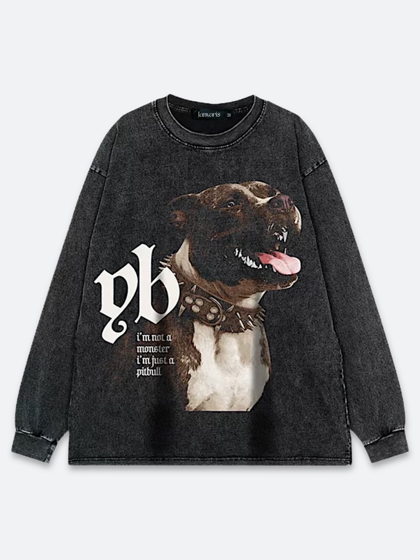 BULLY'S APEX VINTAGE LONGSLEEVE